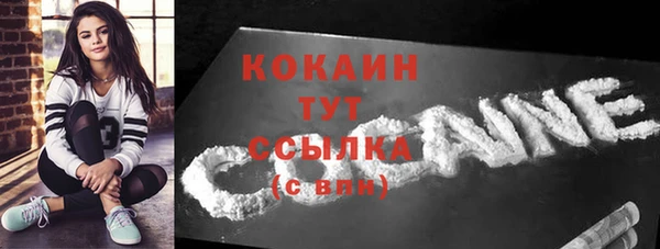 мяу мяу мука Абаза