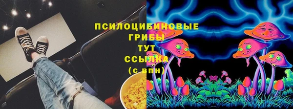 мяу мяу мука Абаза