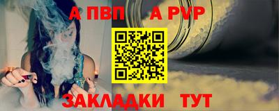 стафф Кингисепп
