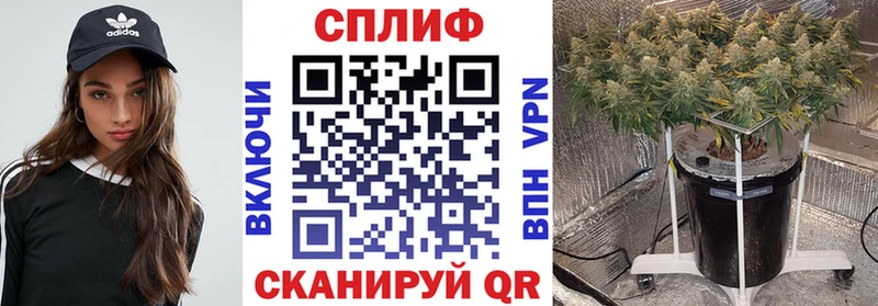 гидра зеркало  купить наркоту  Нефтеюганск  Бошки марихуана гибрид 